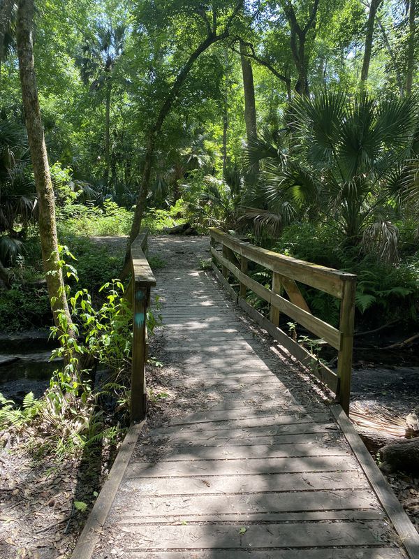 Soldiers Creek to Osprey Trail to Big Tree and back