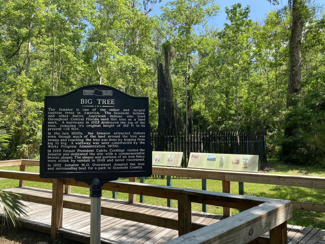 Soldiers Creek to Osprey Trail to Big Tree and back