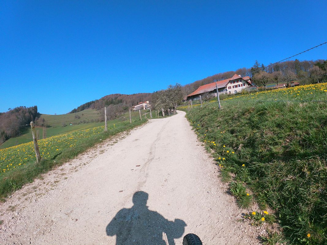Allerheiligen Wangen