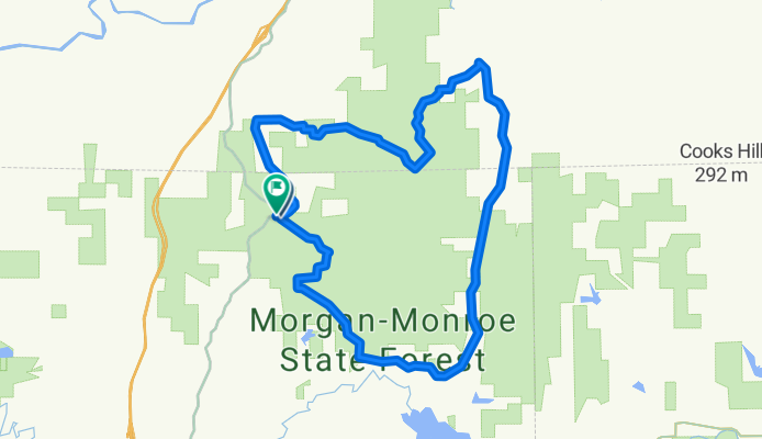 MMSF 21