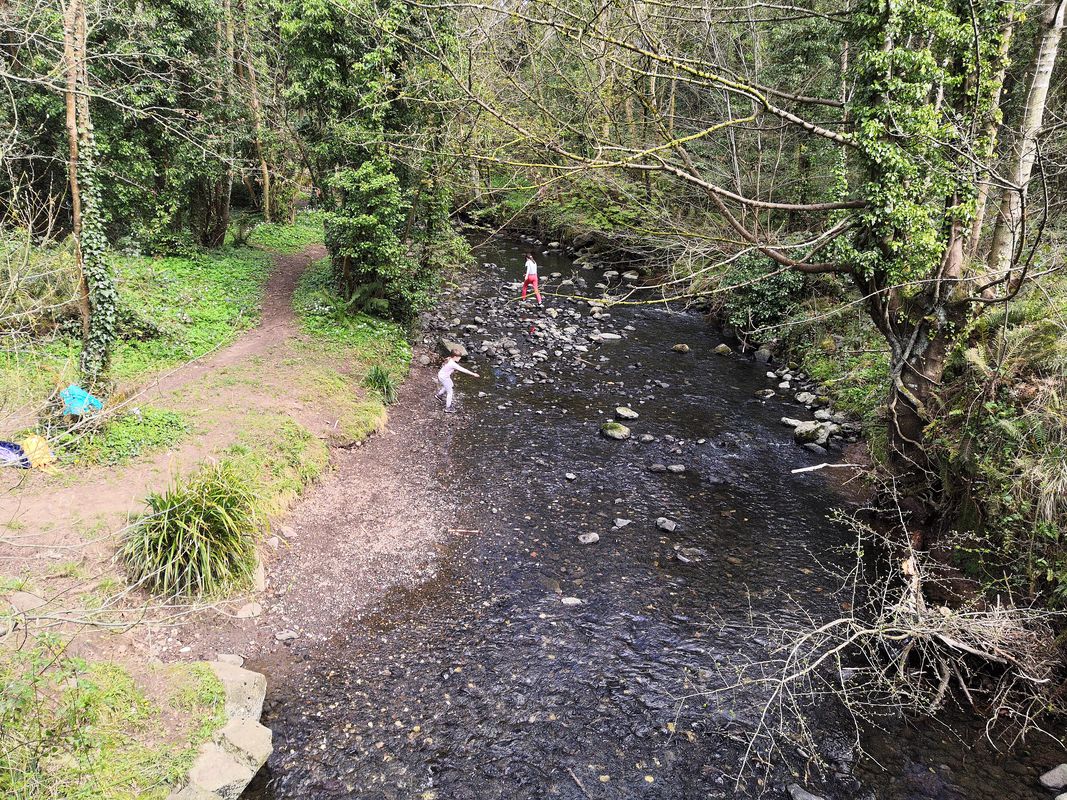 Mossley Mill to Big Fish Belfast