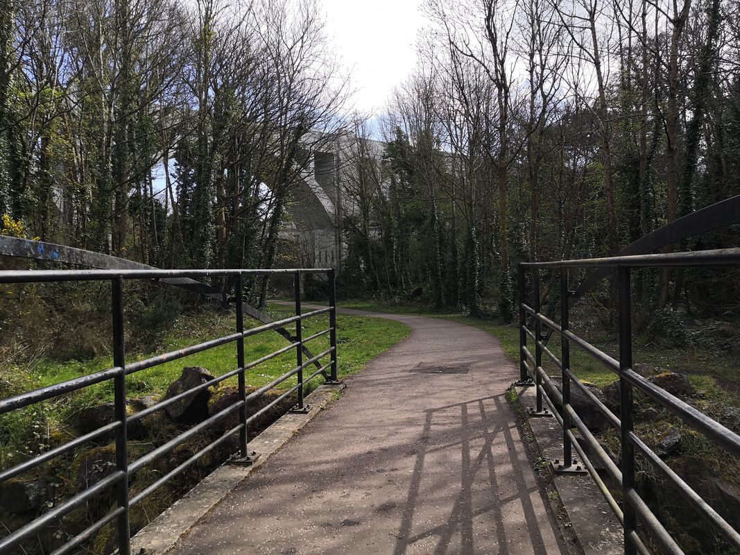 Mossley Mill to Big Fish Belfast