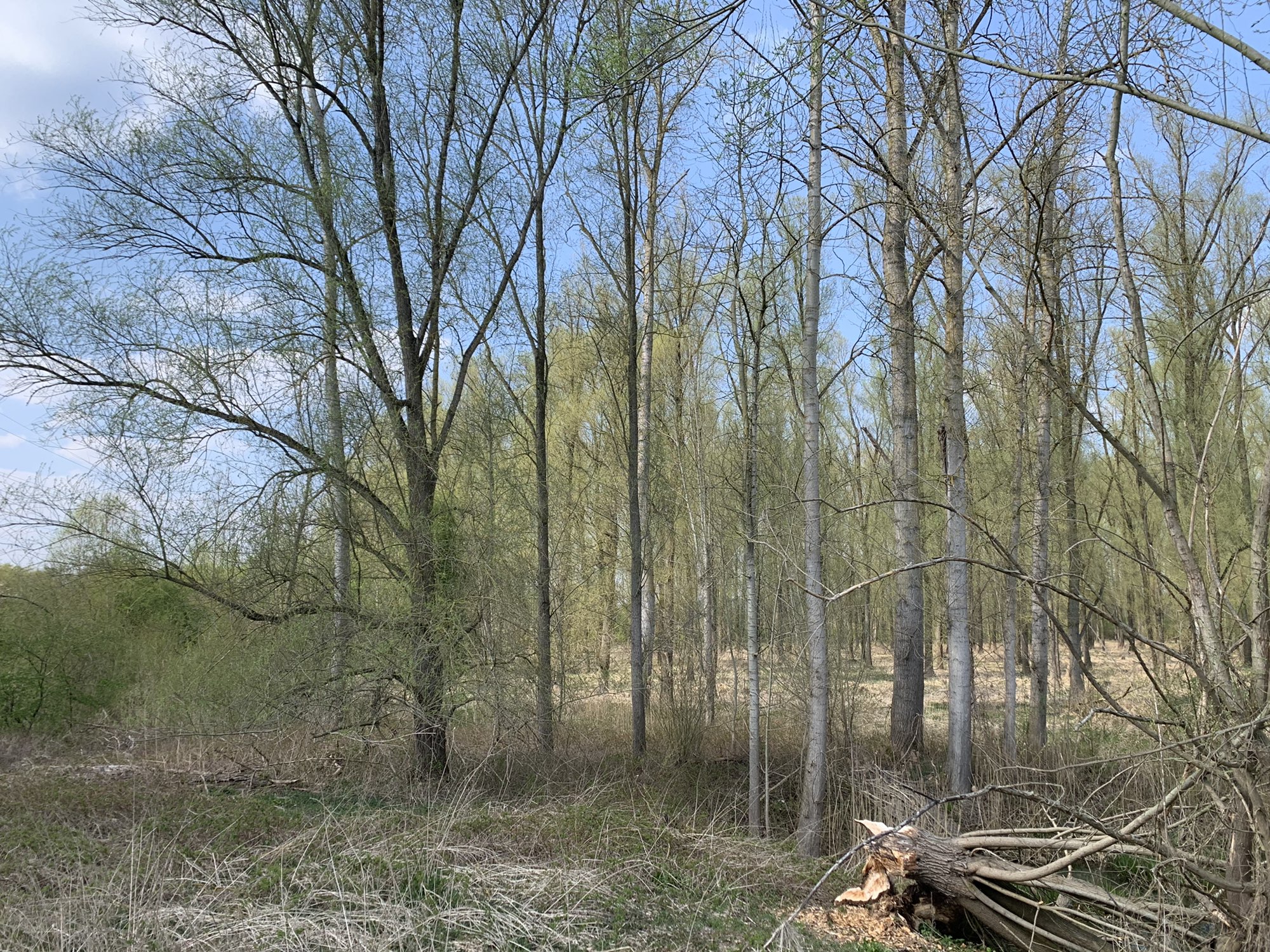Mertingen Donau-Tour