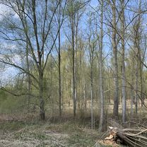 Mertingen Donau-Tour