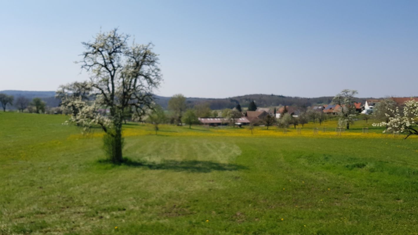 Klingentalstraße 15, Bad Säckingen nach Klingentalstraße 3, Bad Säckingen