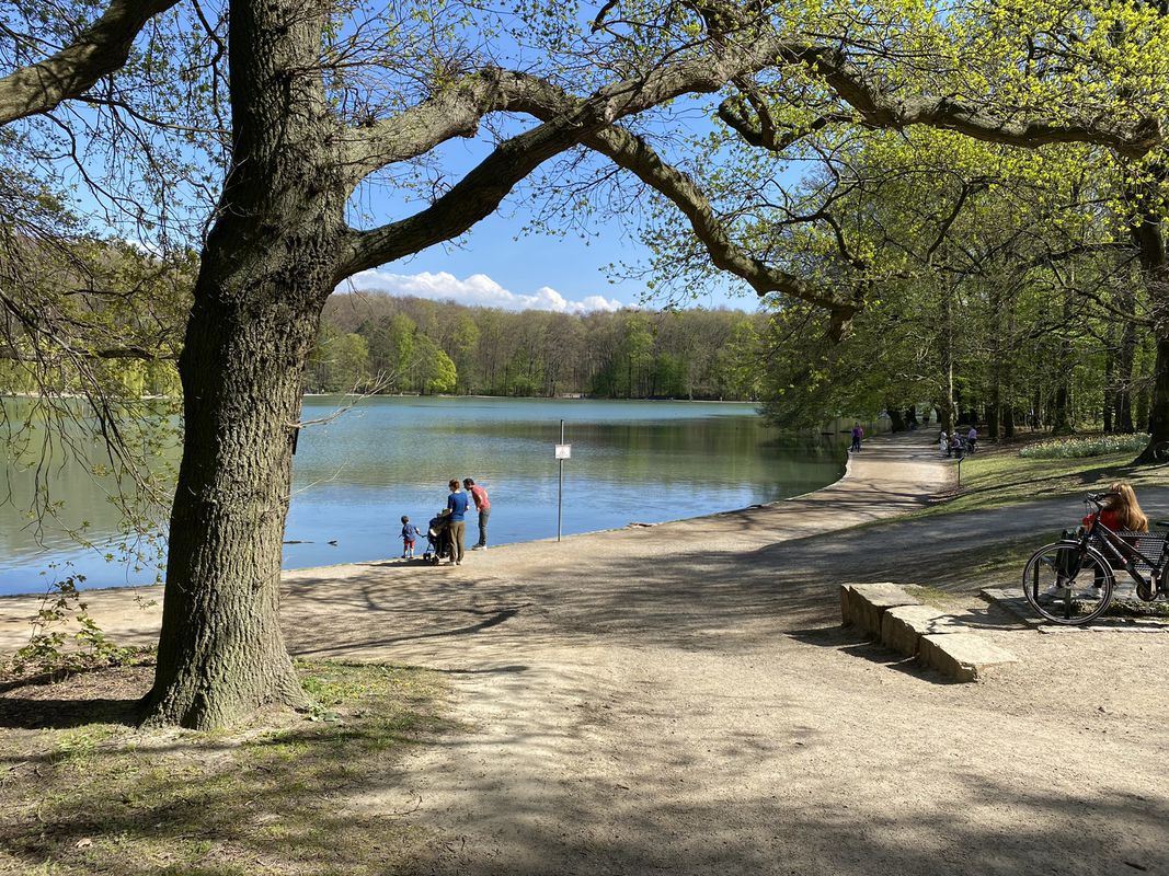 Königsdorf-Widdersdorf-Decksteiner Weiher