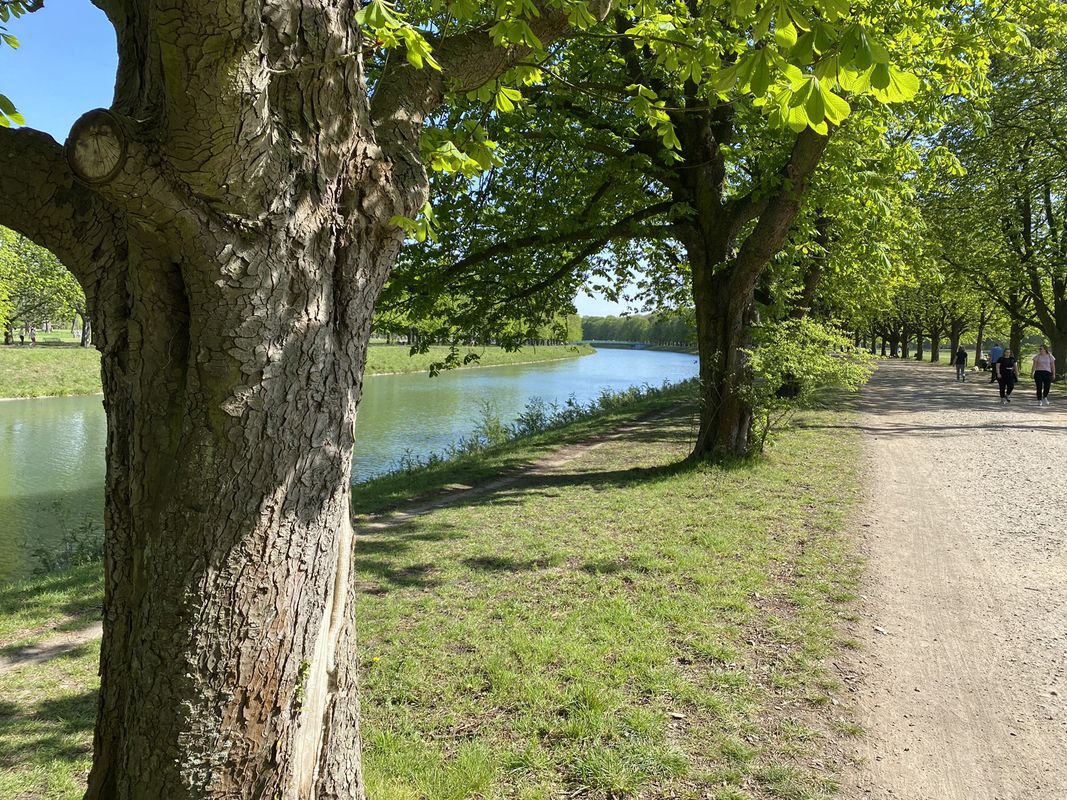 Königsdorf-Widdersdorf-Decksteiner Weiher
