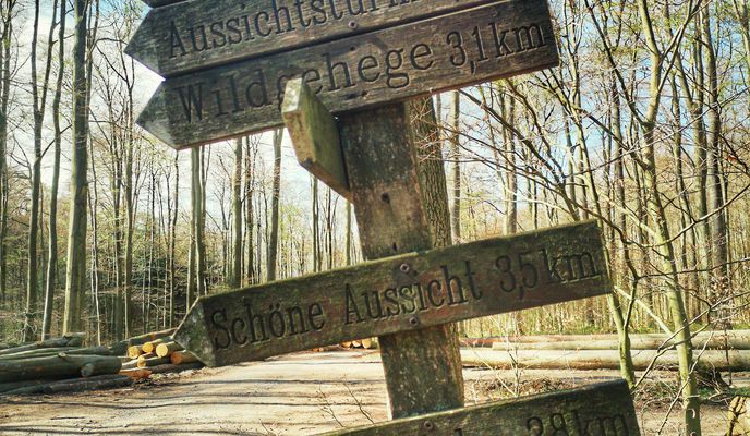 Foto 2 de la ruta de Bikemap "Lemgo - Windelstein - Hillentrup"