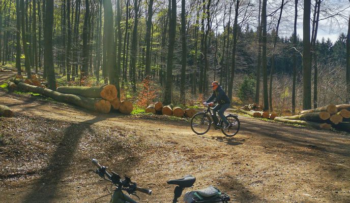 Foto 1 de la ruta de Bikemap "Lemgo - Windelstein - Hillentrup"