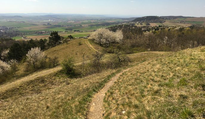 Photo 1 of the Bikemap route "Gipfelkreuz Buschberg"