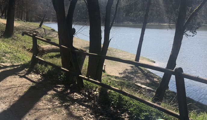 Photo 1 de l’itinéraire Bikemap « Kúty- Lazany- Lesopark »