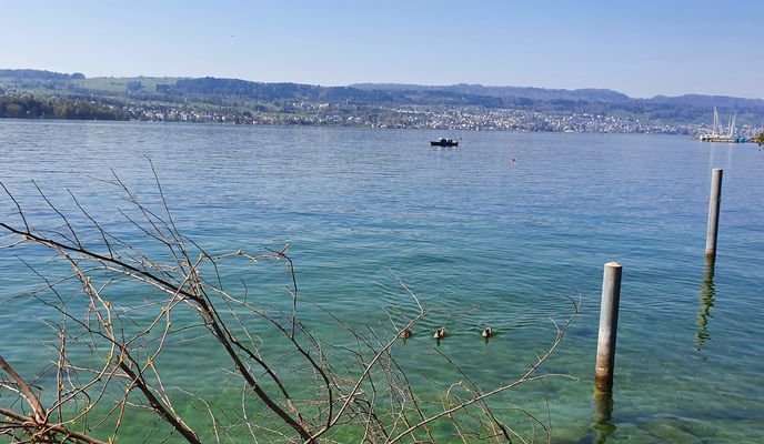 Foto 1 de la ruta de Bikemap "Postwäldli 2, Freienbach nach Postwäldli 2, Freienbach"