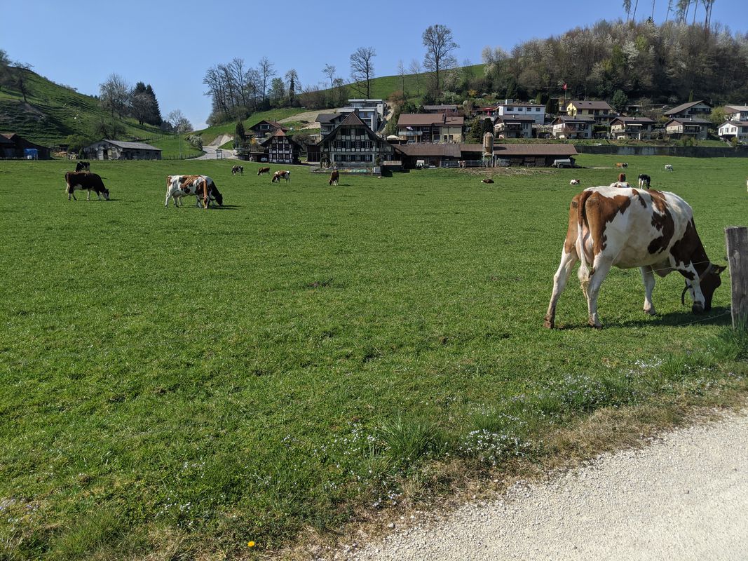 Heckenweg 11, Lützelflüh to Heckenweg 11, Lützelflüh