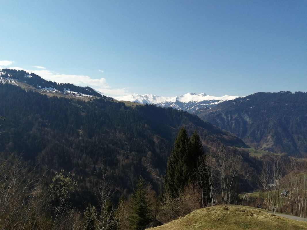 Schiers - Pusserein