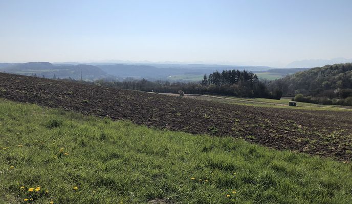 Foto 1 der Bikemap-Route "Itinéraire modéré en La Sarraz"