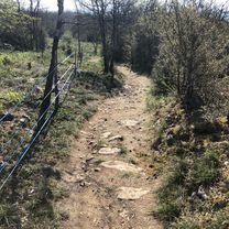 Foto 7 der Bikemap-Route "Itinéraire modéré en La Sarraz"