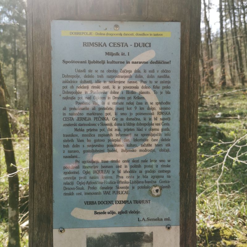 Velika Račna Cesta Velika Račna