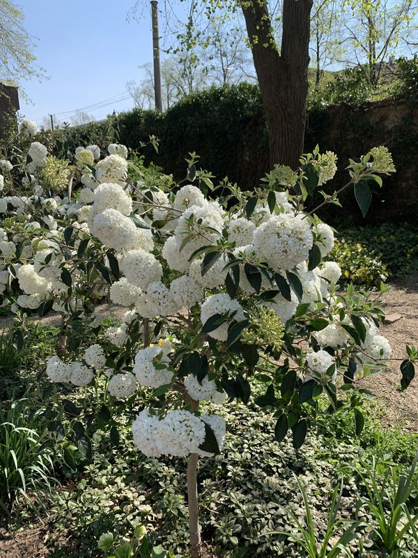 Fahrt zu Papa am Karfreitag