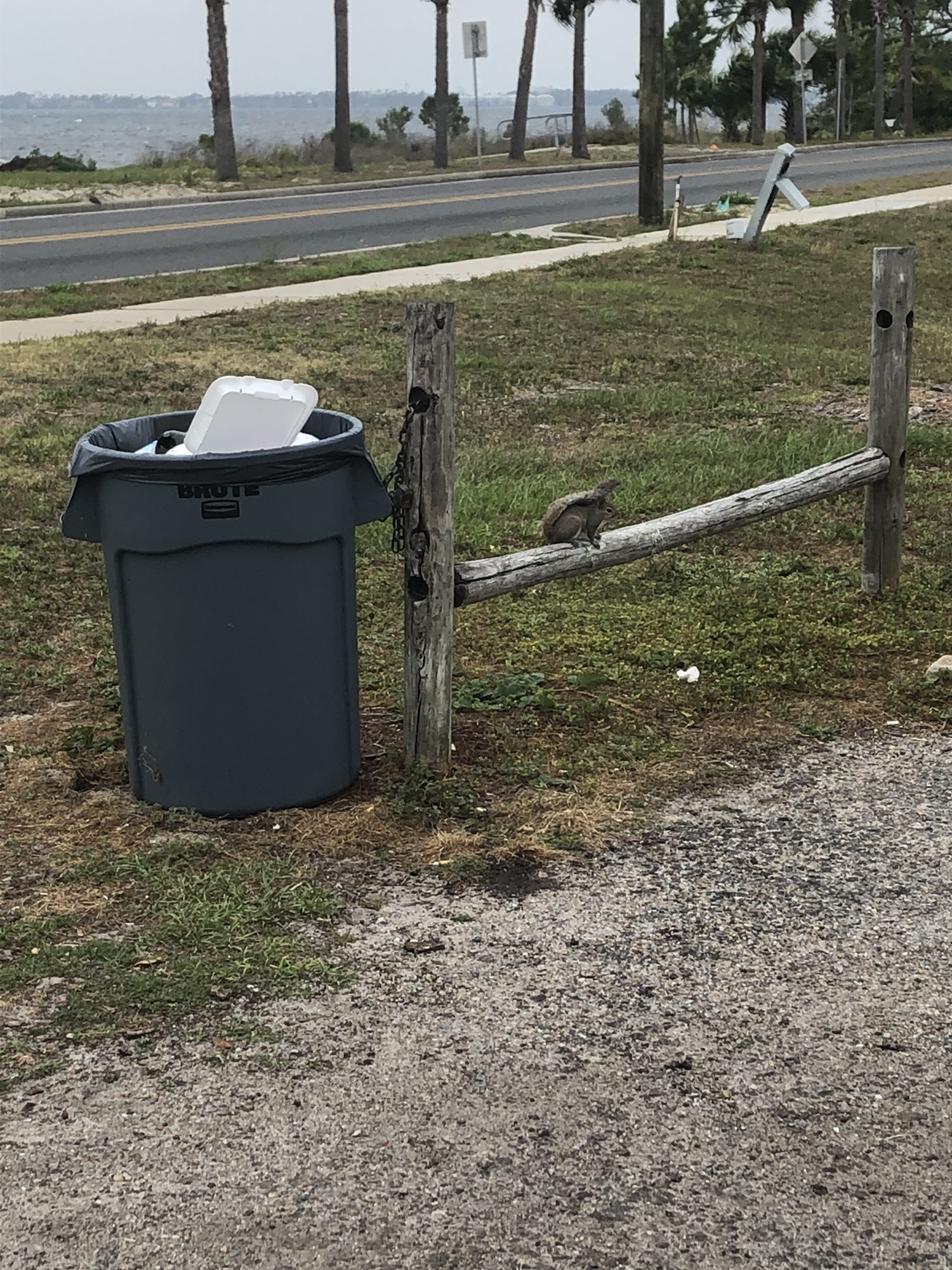 3550–3572 W 19th St, Panama City to 3515 W 19th St, Panama City