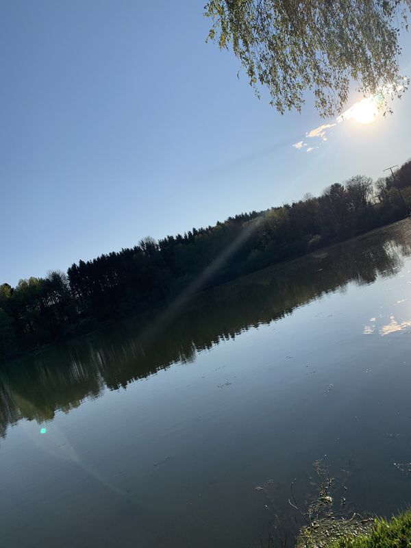 Gerade Fahrt in Wirges