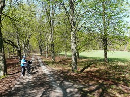 Atrakcja 9 na trasie Bikemap „Ederseeradweg ER 35”