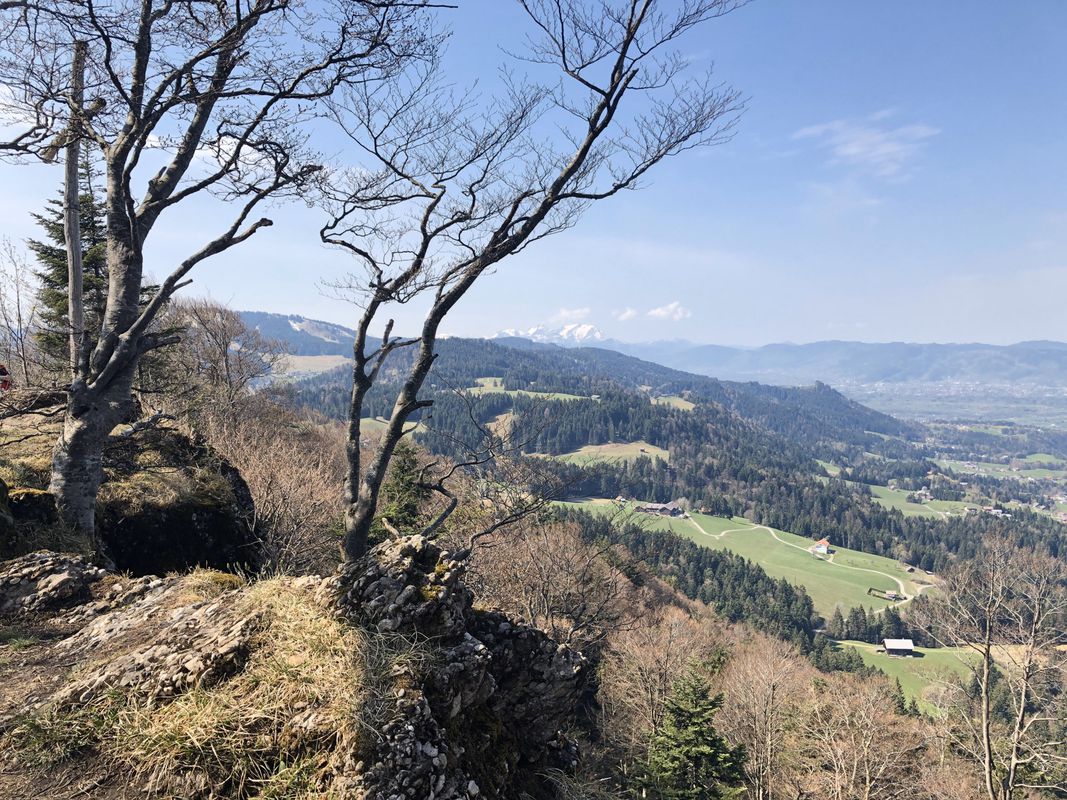 Lauterach-Dornbirn-Ammenegg-Bödele-Brüggelekopf-Alberschwende-Lauterach