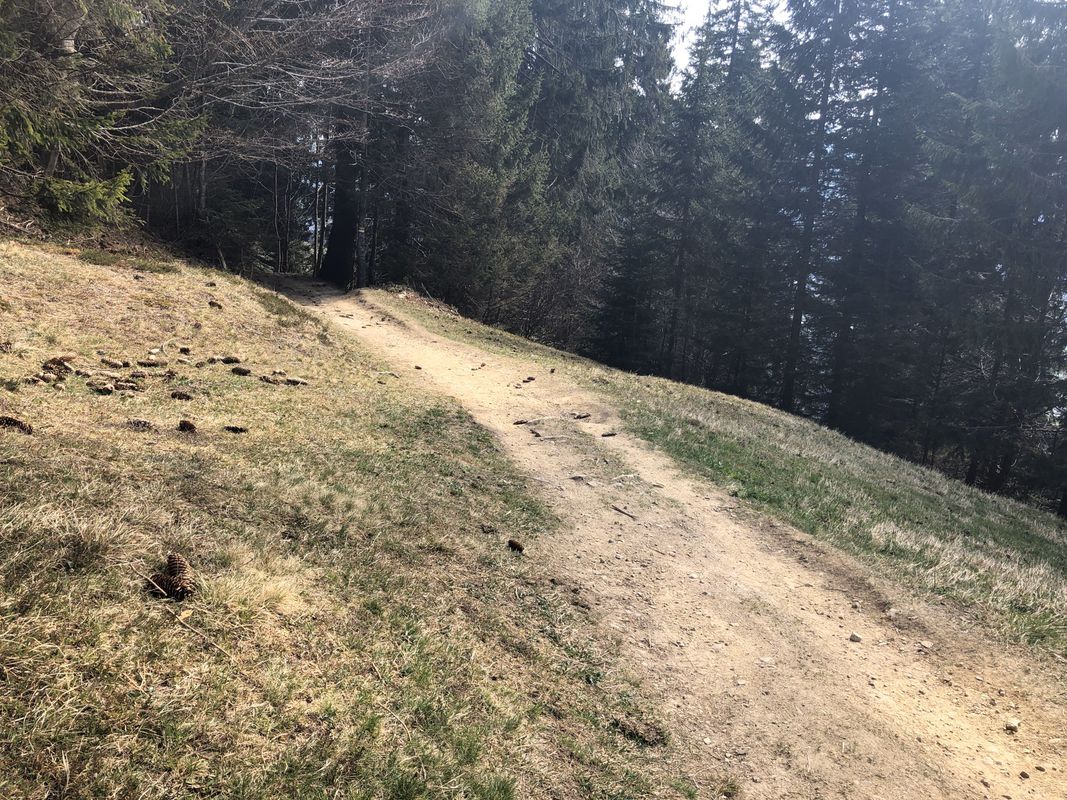 Lauterach-Dornbirn-Ammenegg-Bödele-Brüggelekopf-Alberschwende-Lauterach
