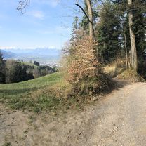Foto 8 der Bikemap-Route "Lauterach-Dornbirn-Ammenegg-Bödele-Brüggelekopf-Alberschwende-Lauterach"