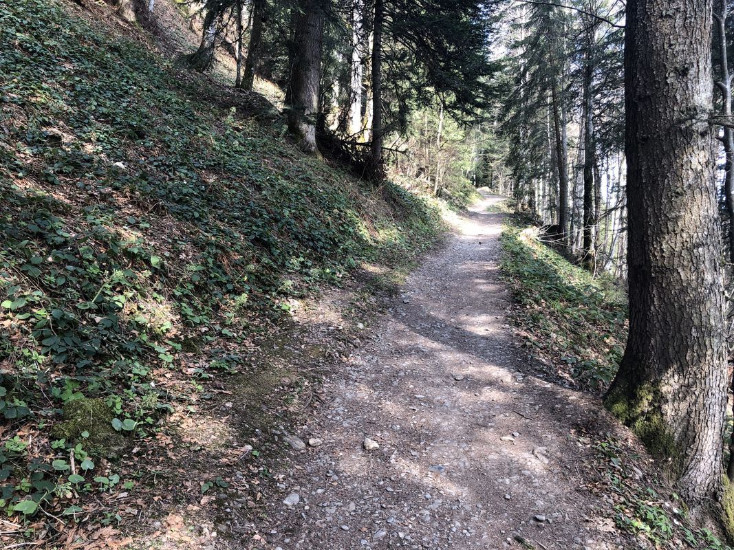 Lauterach-Dornbirn-Ammenegg-Bödele-Brüggelekopf-Alberschwende-Lauterach