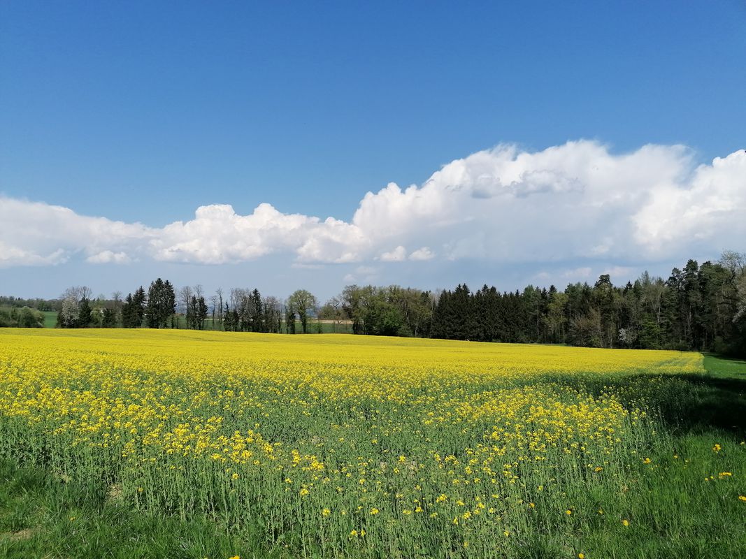 13 112, Ermatingen to Blumenweg 1, Ermatingen