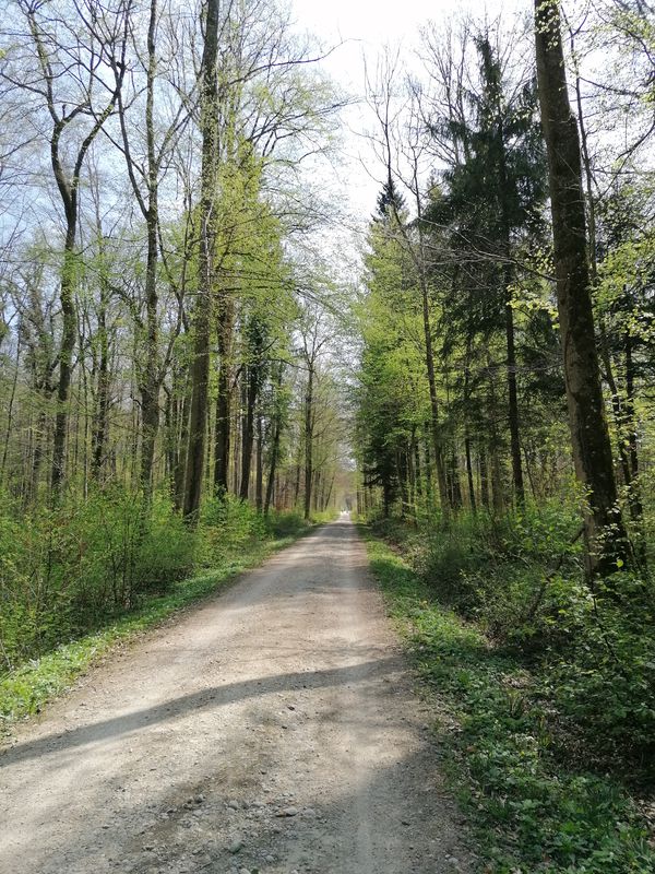 13 112, Ermatingen to Blumenweg 1, Ermatingen