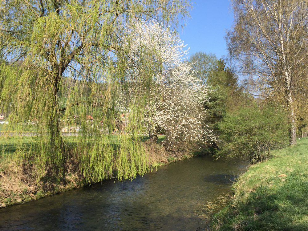 Wrach-Belpberg-Gürbe-Seftigen-Stoffelsrüti-Limpachtal-Kirchdorf-Wrach, 37km
