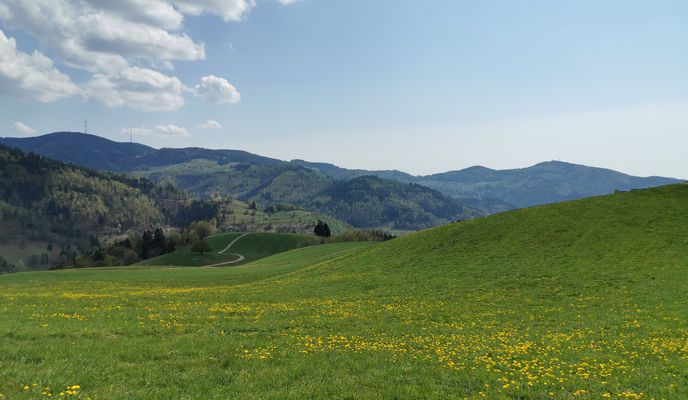 Photo 1 de l’itinéraire Bikemap « Wiesentalstraße 24, Utzenfeld nach Obermatt 28, Utzenfeld »