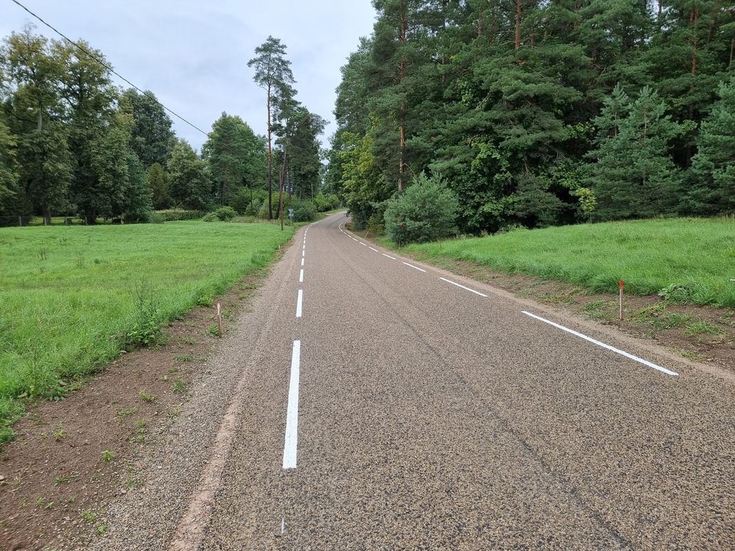 Doles salas (Lielais loks)