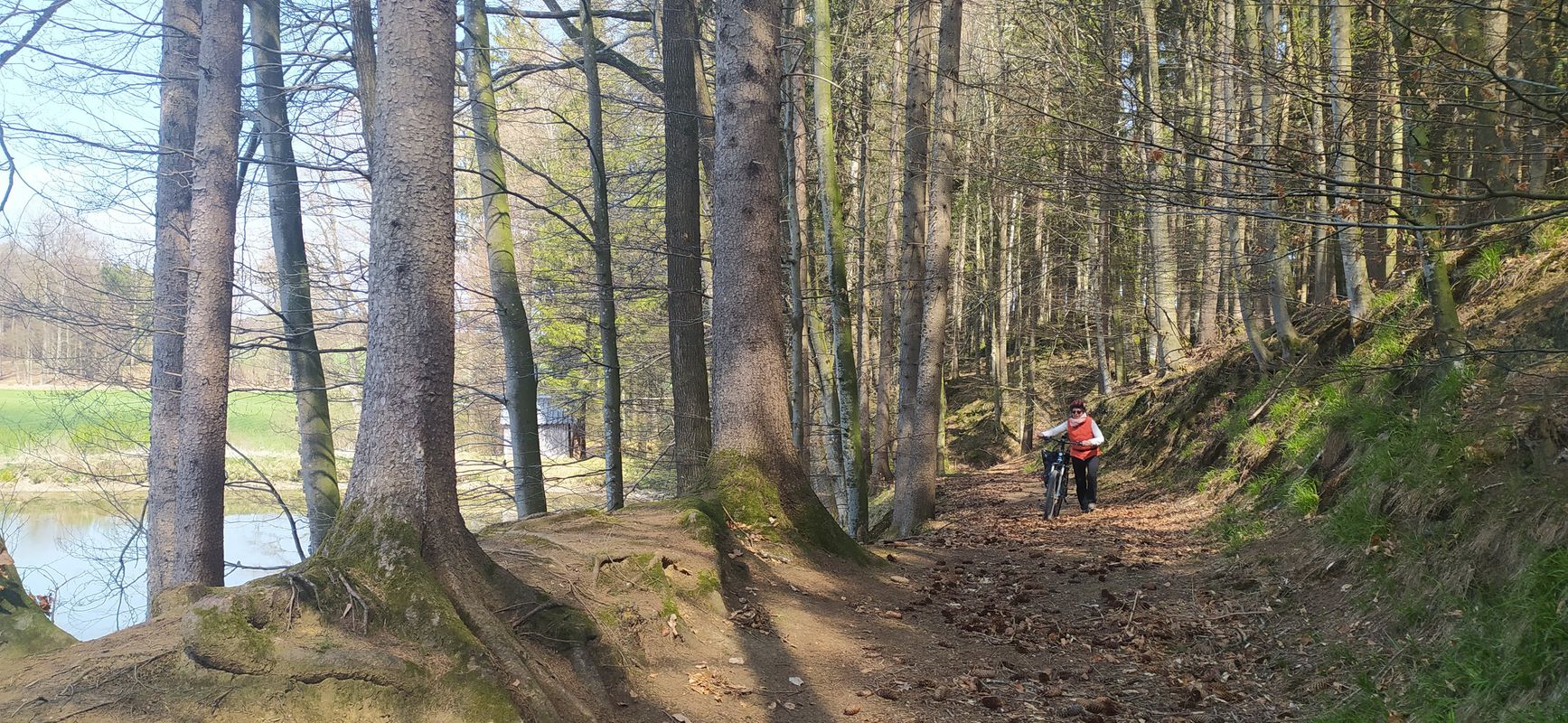Zum Picknick an den Fuggerweiher