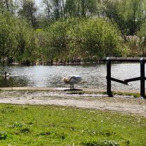 Tarragon Drive 1 to Wren Close 15