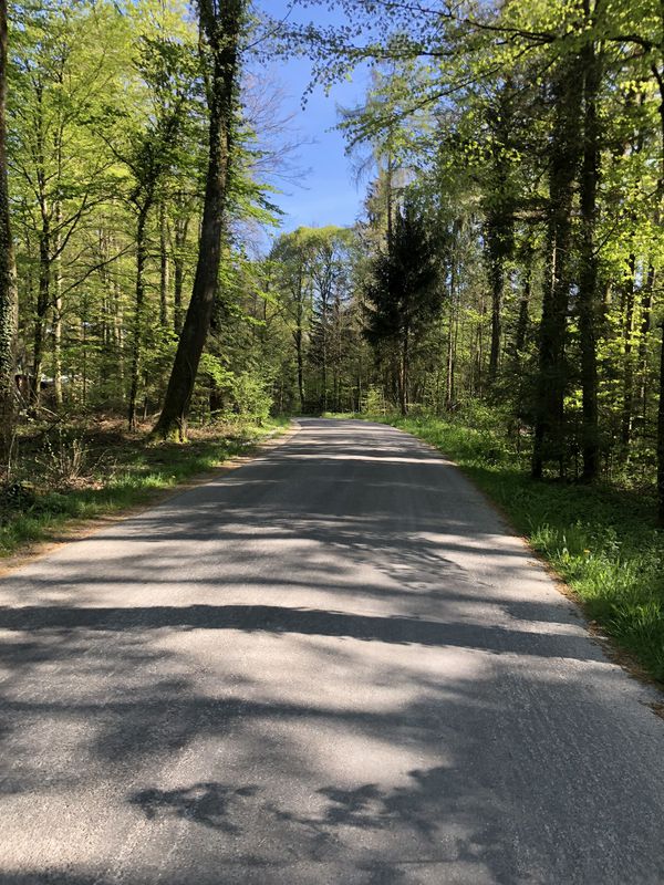 Gemütliche Route in Oftringen