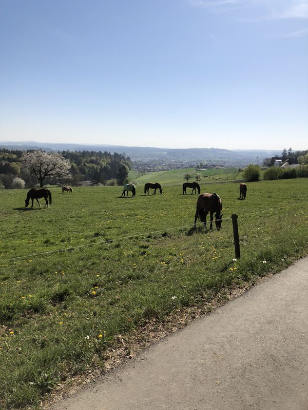 Gemütliche Route in Oftringen