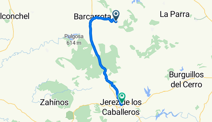 salva jerez