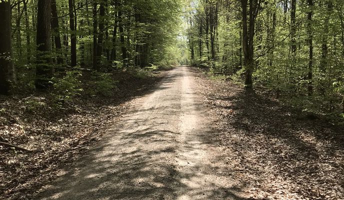 Photo 2 of the Bikemap route "Hohe Straße"