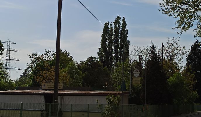 Foto 2 der Bikemap-Route "Mannheim Paradeplatz,via Reißinsel und Neckarau nach Nationaltheater Mannheim"