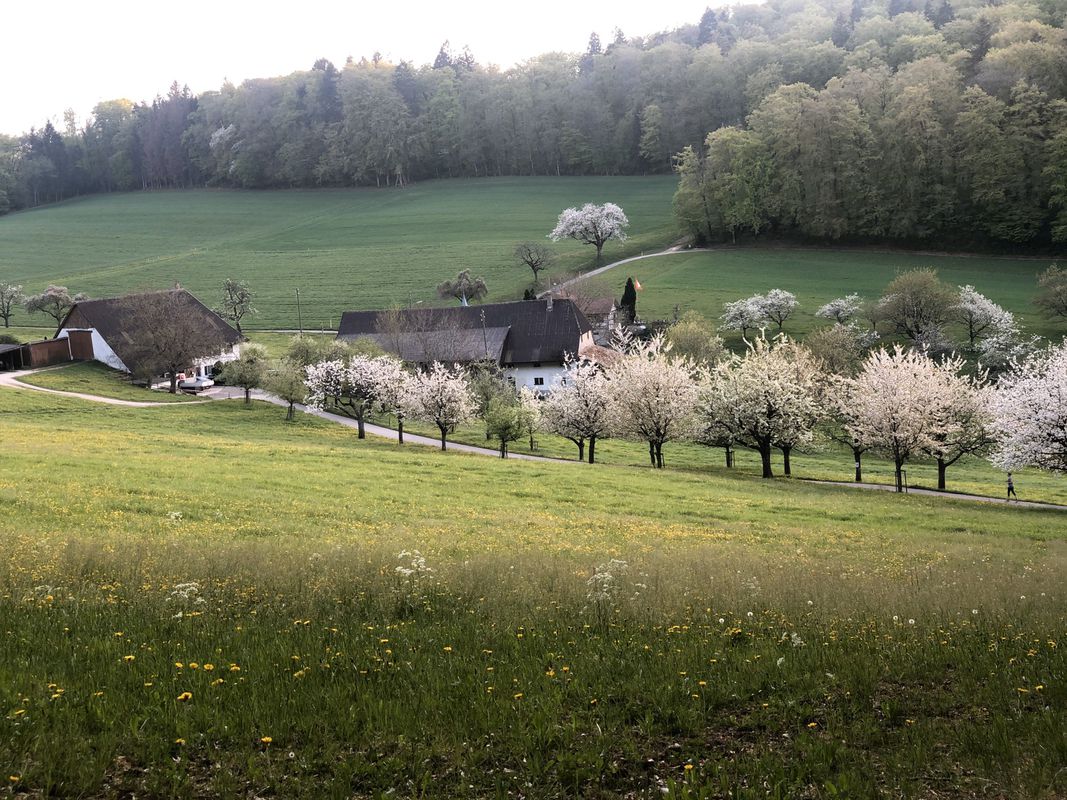 Bike Tour Oftringen EKR