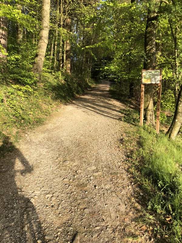 Bike Tour Oftringen EKR