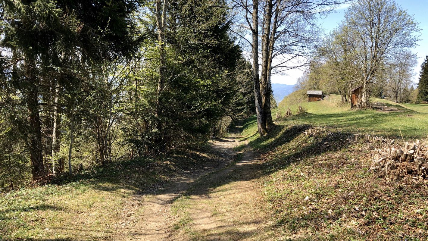 Lauterach-Buch (alte Wäderstraße)-Bildstein-Lauterach