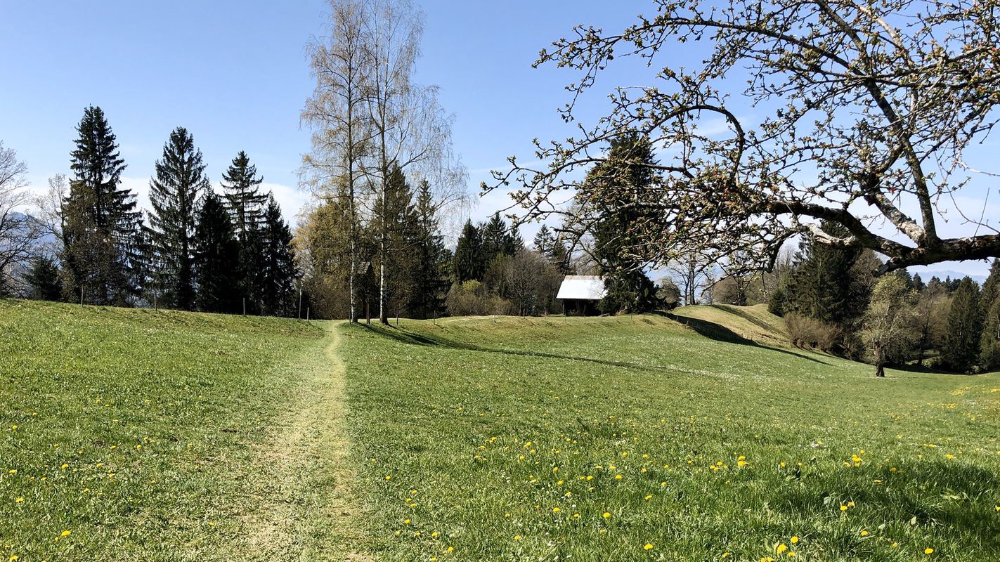 Lauterach-Buch (alte Wäderstraße)-Bildstein-Lauterach