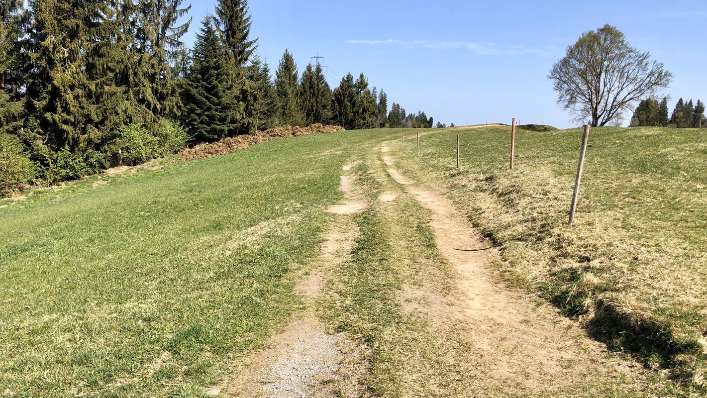 Lauterach-Buch (alte Wäderstraße)-Bildstein-Lauterach