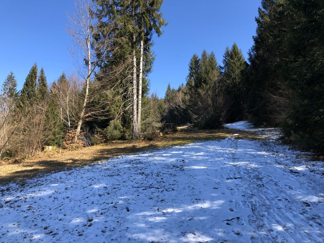 Lauterach-Buch-Schneiderkopf-Bildstein-Lauterach