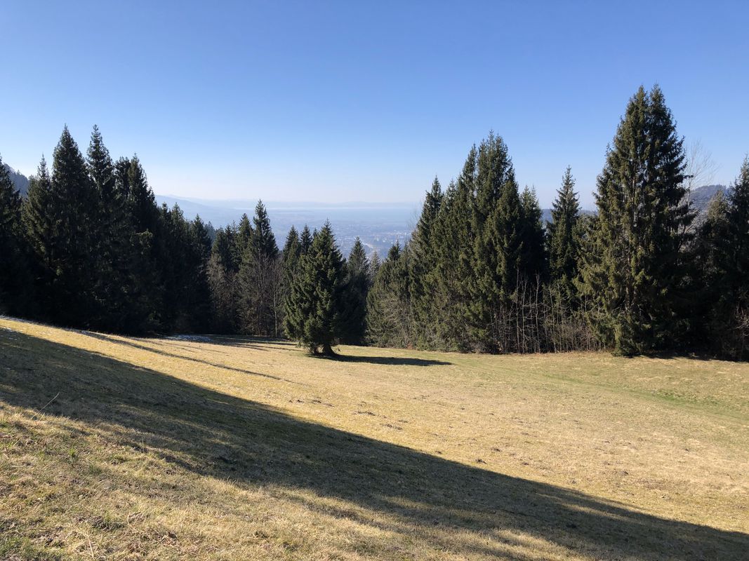 Lauterach-Buch-Schneiderkopf-Bildstein-Lauterach