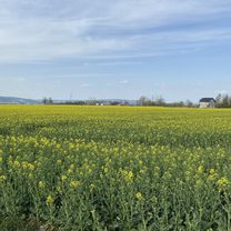 Photo 3 of this route