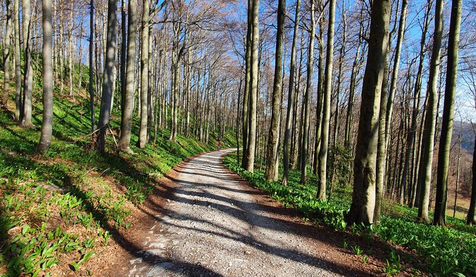 Photo 1 of the Bikemap route "Javornik" Photo 1 of the Bikemap route "Javornik"